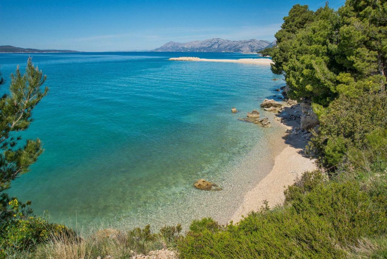 Villa Luce Mit Pool Makarska Rom bilde